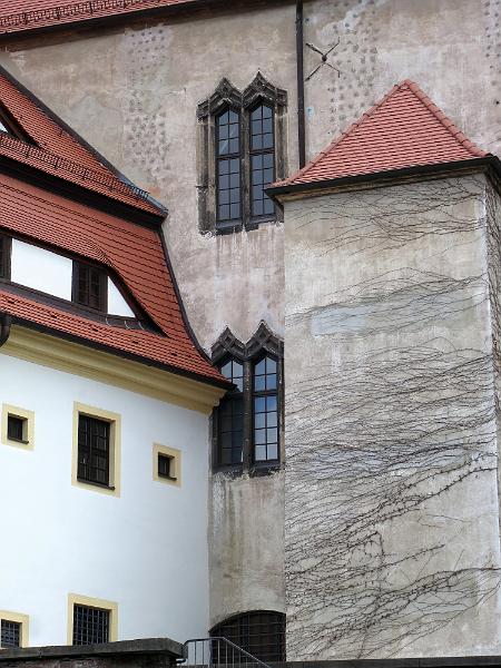 Torgau_ (4).JPG